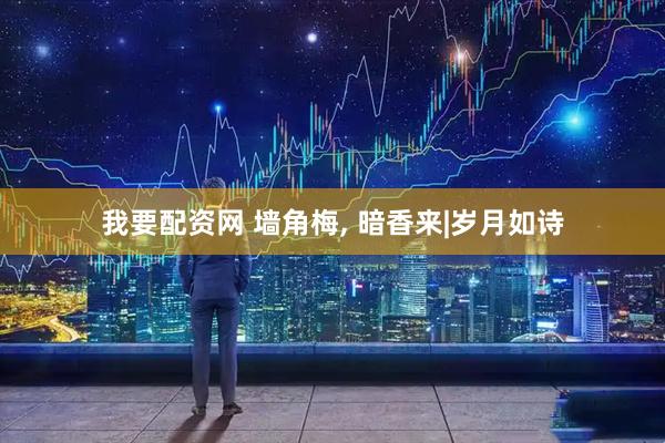 我要配资网 墙角梅, 暗香来|岁月如诗